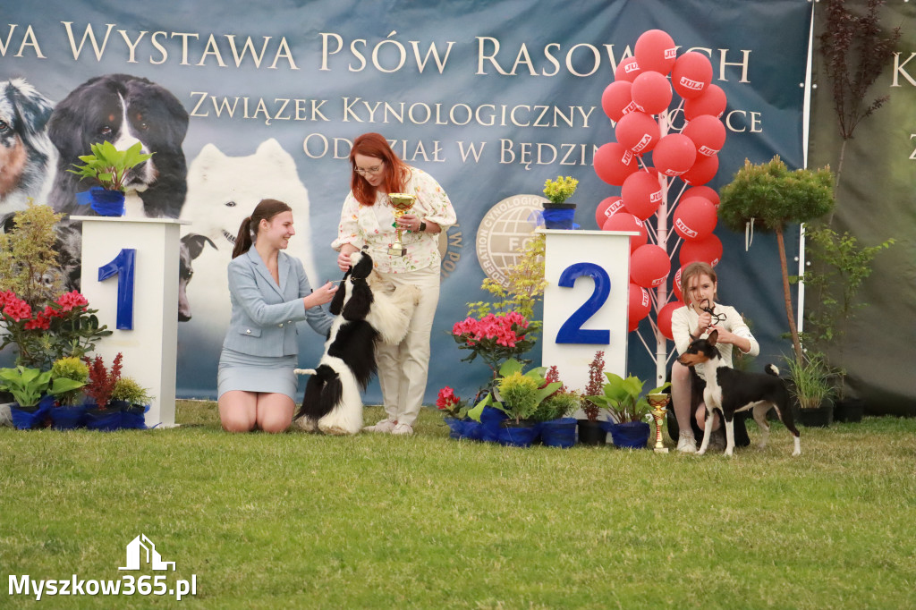 Fotorelacja - Wystawa Psów Rasowych GNIAZDÓW 2024r. NIEDZIELA I