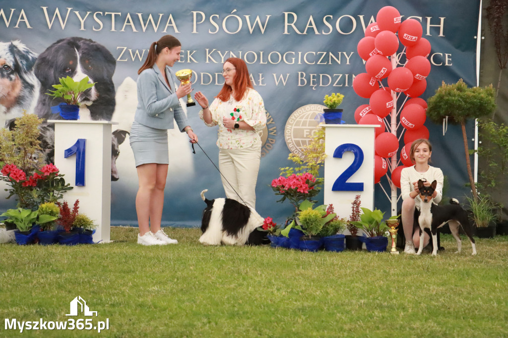 Fotorelacja - Wystawa Psów Rasowych GNIAZDÓW 2024r. NIEDZIELA I