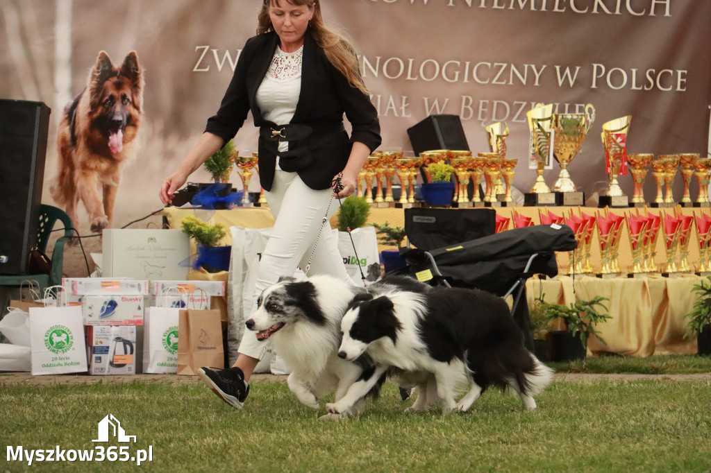 Fotorelacja - Wystawa Psów Rasowych GNIAZDÓW 2024r. NIEDZIELA I