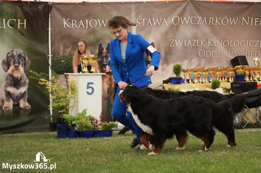 Fotorelacja - Wystawa Psów Rasowych GNIAZDÓW 2024r. NIEDZIELA I
