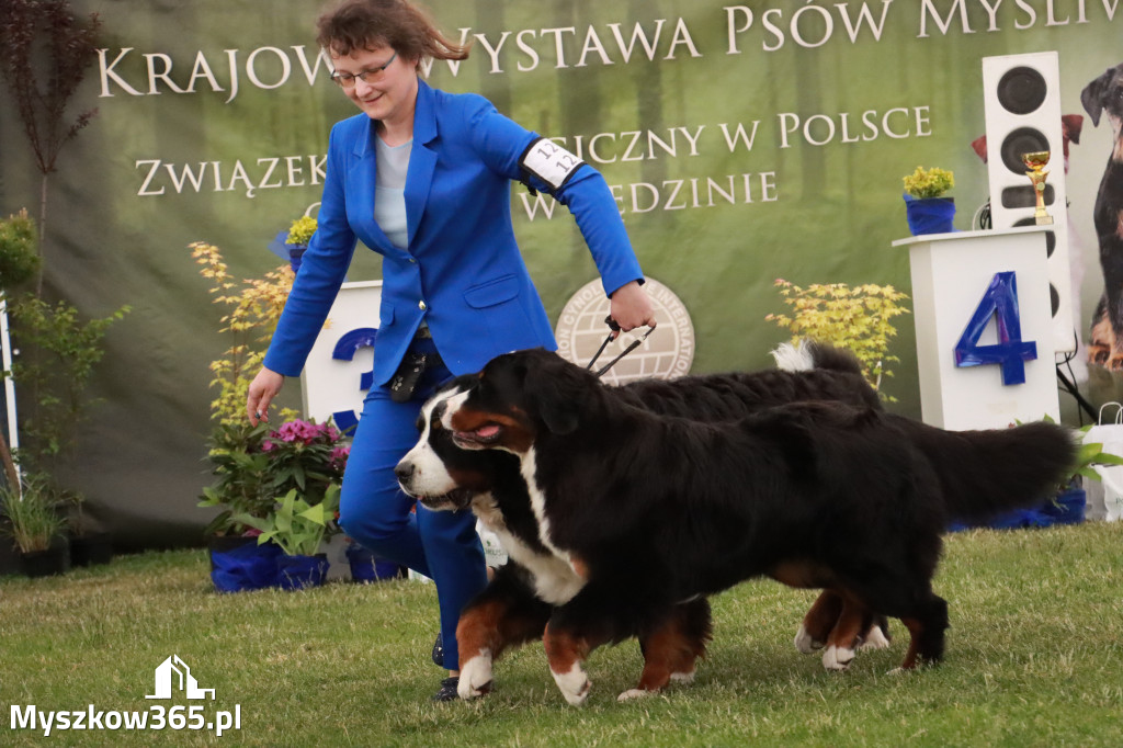 Fotorelacja - Wystawa Psów Rasowych GNIAZDÓW 2024r. NIEDZIELA I
