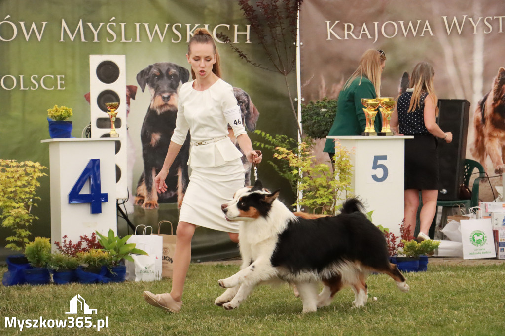 Fotorelacja - Wystawa Psów Rasowych GNIAZDÓW 2024r. NIEDZIELA I