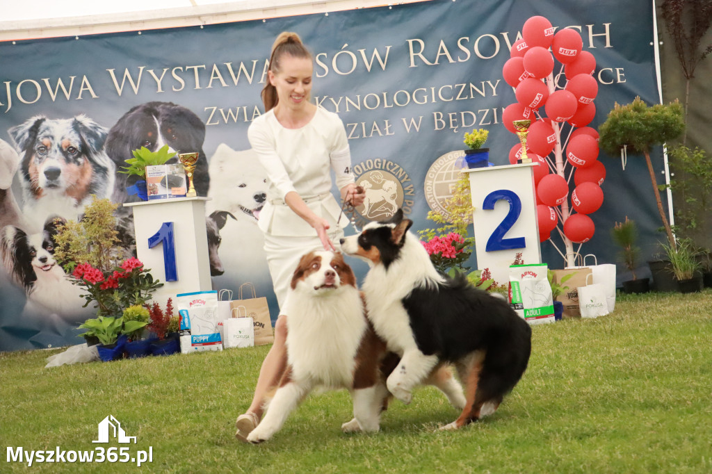 Fotorelacja - Wystawa Psów Rasowych GNIAZDÓW 2024r. NIEDZIELA I