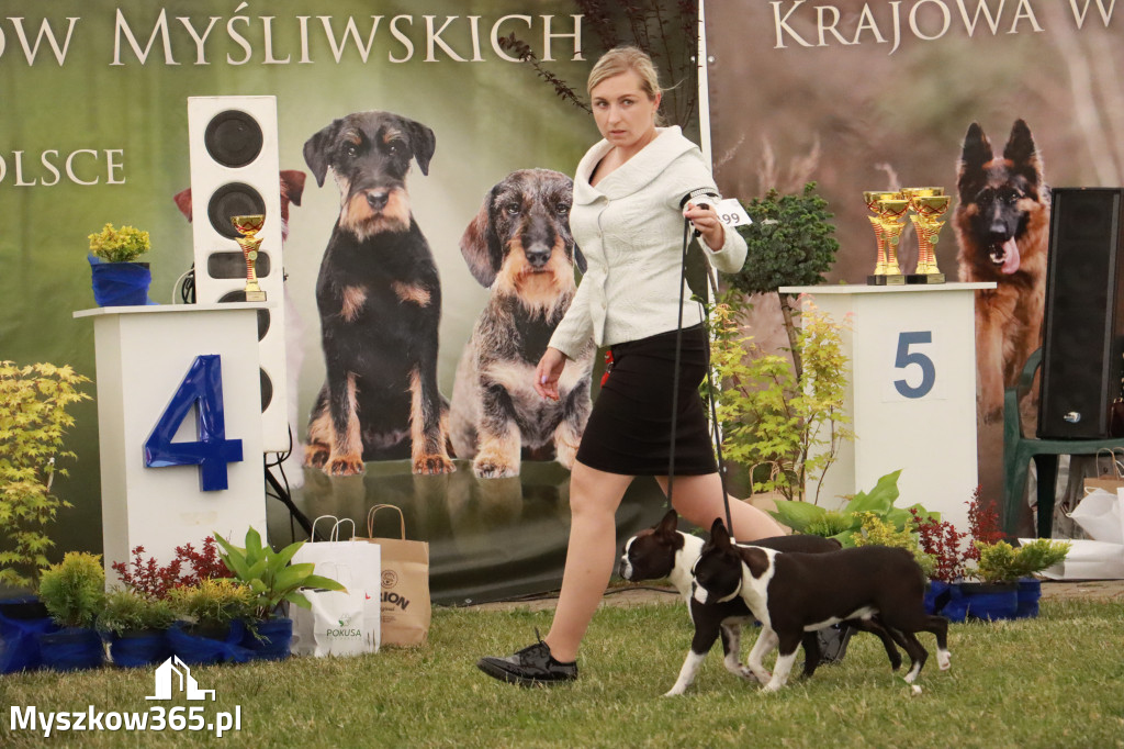 Fotorelacja - Wystawa Psów Rasowych GNIAZDÓW 2024r. NIEDZIELA I