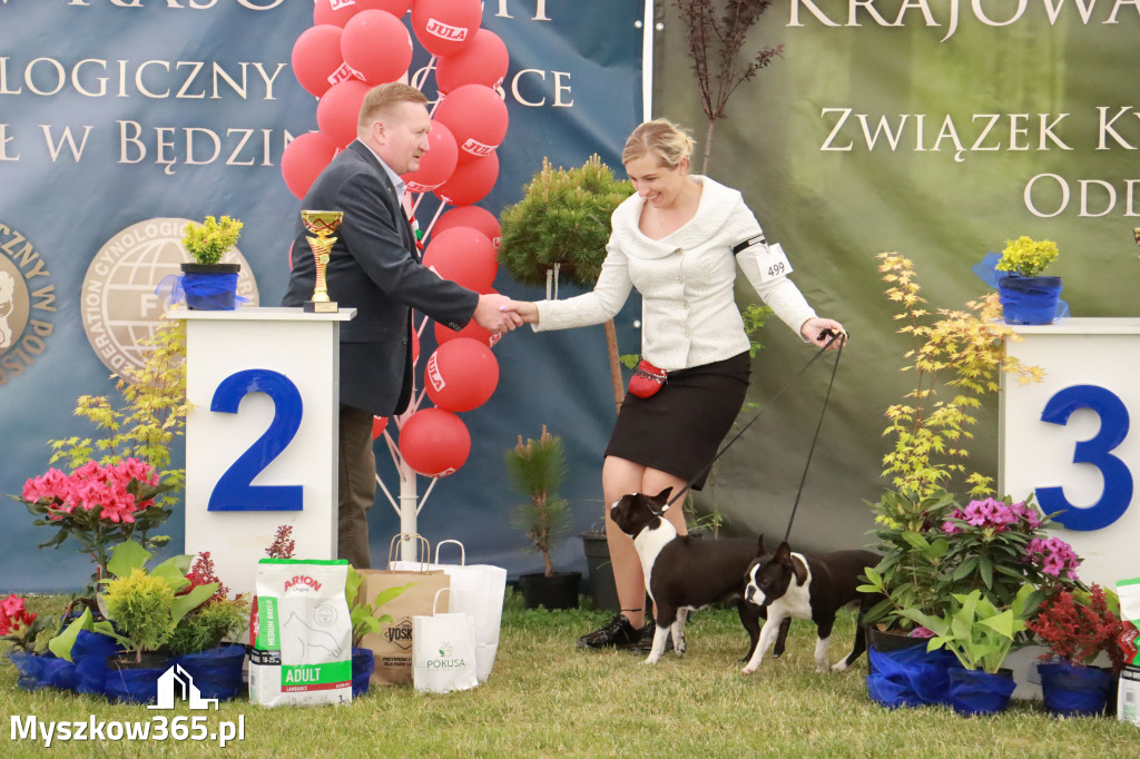 Fotorelacja - Wystawa Psów Rasowych GNIAZDÓW 2024r. NIEDZIELA I