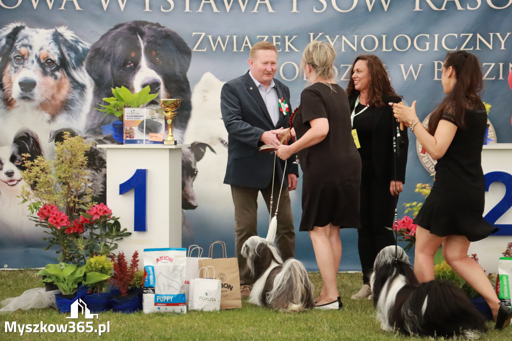 Fotorelacja - Wystawa Psów Rasowych GNIAZDÓW 2024r. NIEDZIELA I