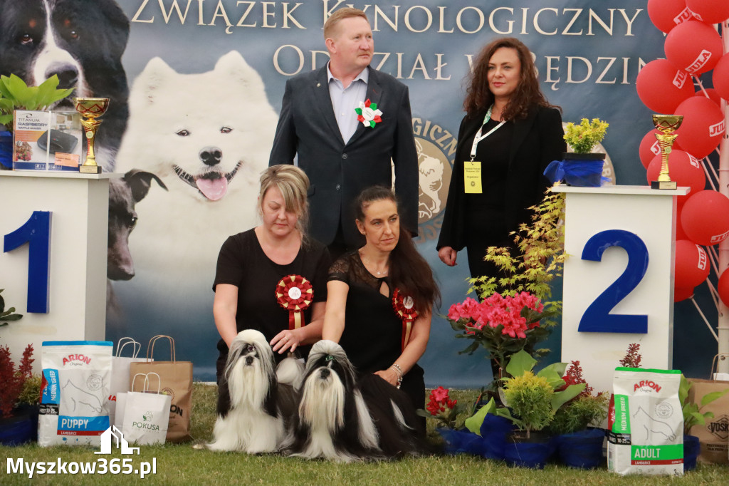 Fotorelacja - Wystawa Psów Rasowych GNIAZDÓW 2024r. NIEDZIELA I