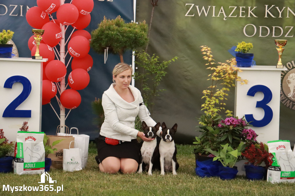 Fotorelacja - Wystawa Psów Rasowych GNIAZDÓW 2024r. NIEDZIELA I