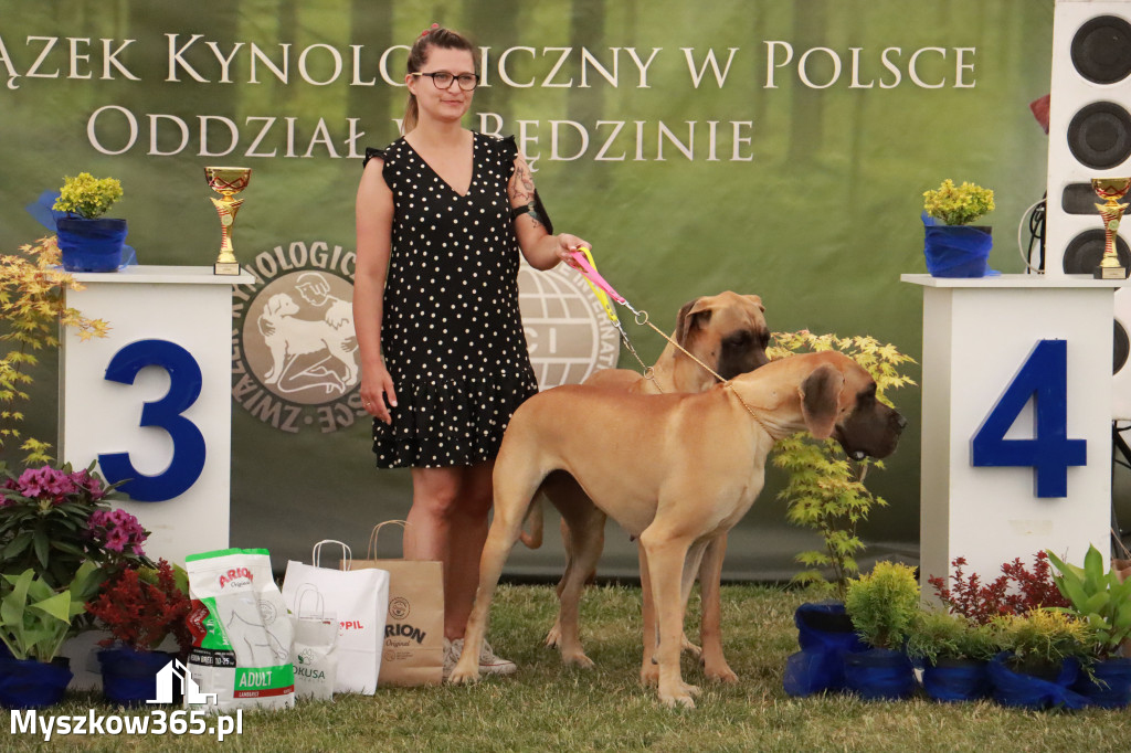 Fotorelacja - Wystawa Psów Rasowych GNIAZDÓW 2024r. NIEDZIELA I