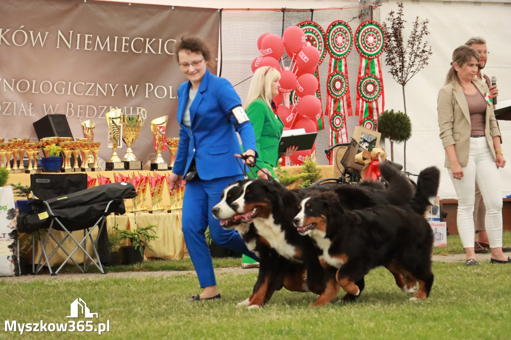 Fotorelacja - Wystawa Psów Rasowych GNIAZDÓW 2024r. NIEDZIELA I