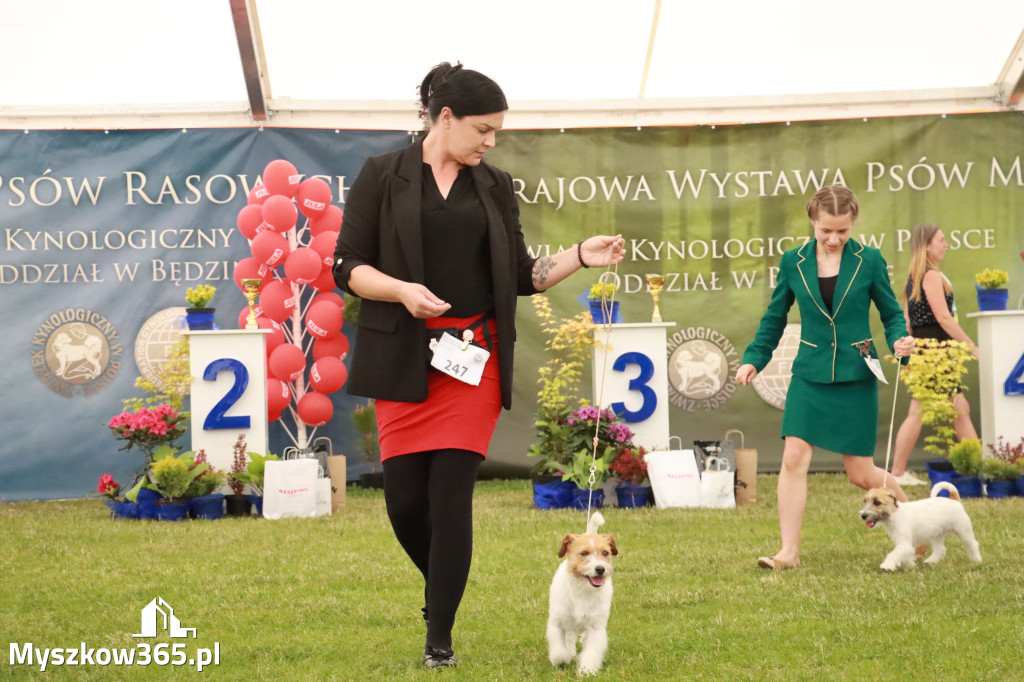 Fotorelacja - Wystawa Psów Rasowych GNIAZDÓW 2024r. NIEDZIELA I