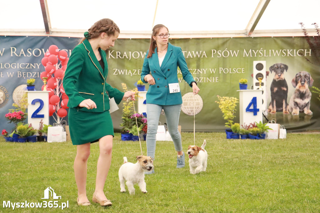Fotorelacja - Wystawa Psów Rasowych GNIAZDÓW 2024r. NIEDZIELA I