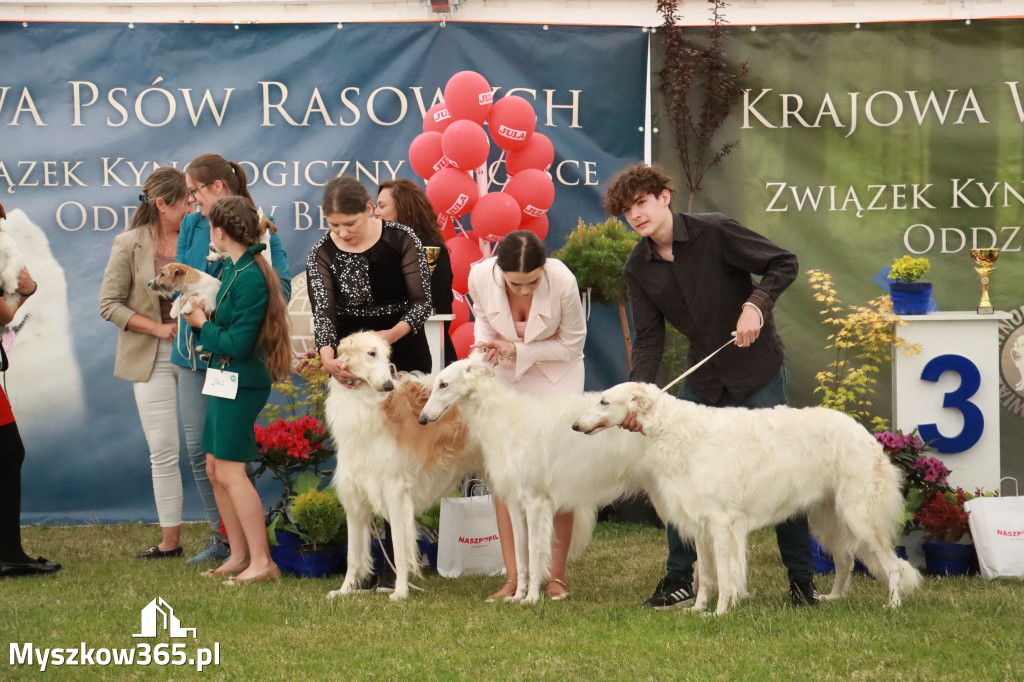 Fotorelacja - Wystawa Psów Rasowych GNIAZDÓW 2024r. NIEDZIELA I