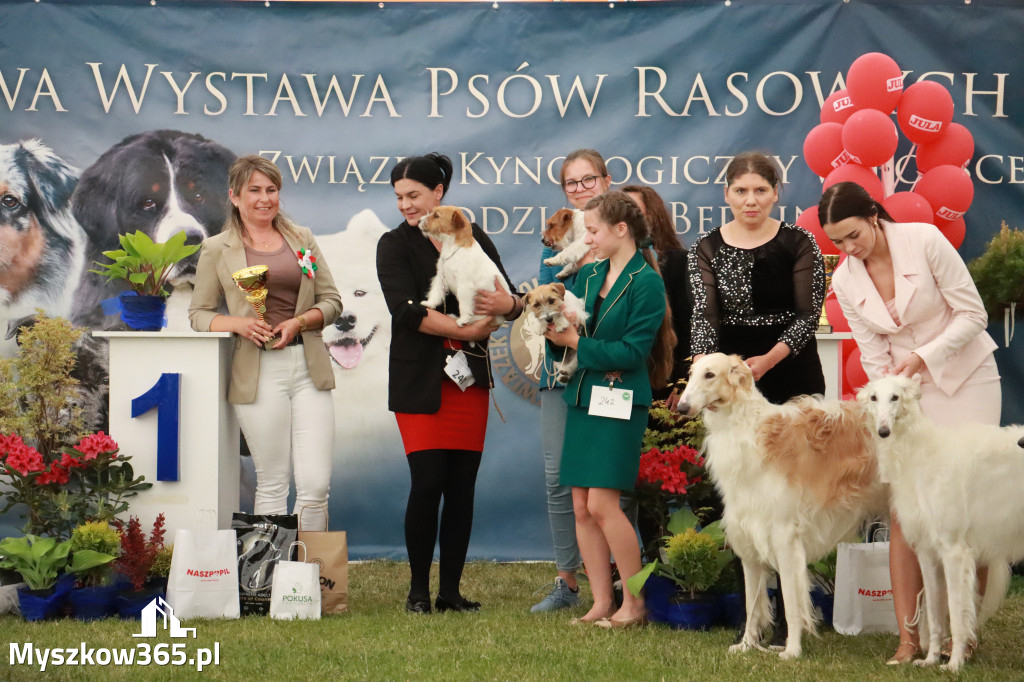 Fotorelacja - Wystawa Psów Rasowych GNIAZDÓW 2024r. NIEDZIELA I