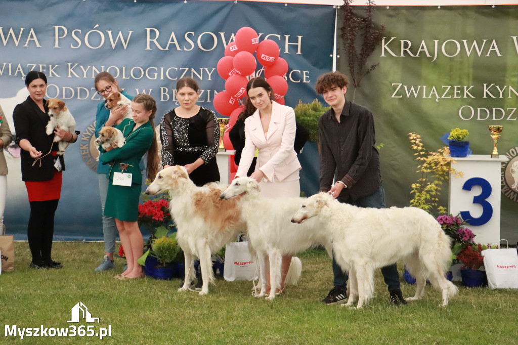 Fotorelacja - Wystawa Psów Rasowych GNIAZDÓW 2024r. NIEDZIELA I