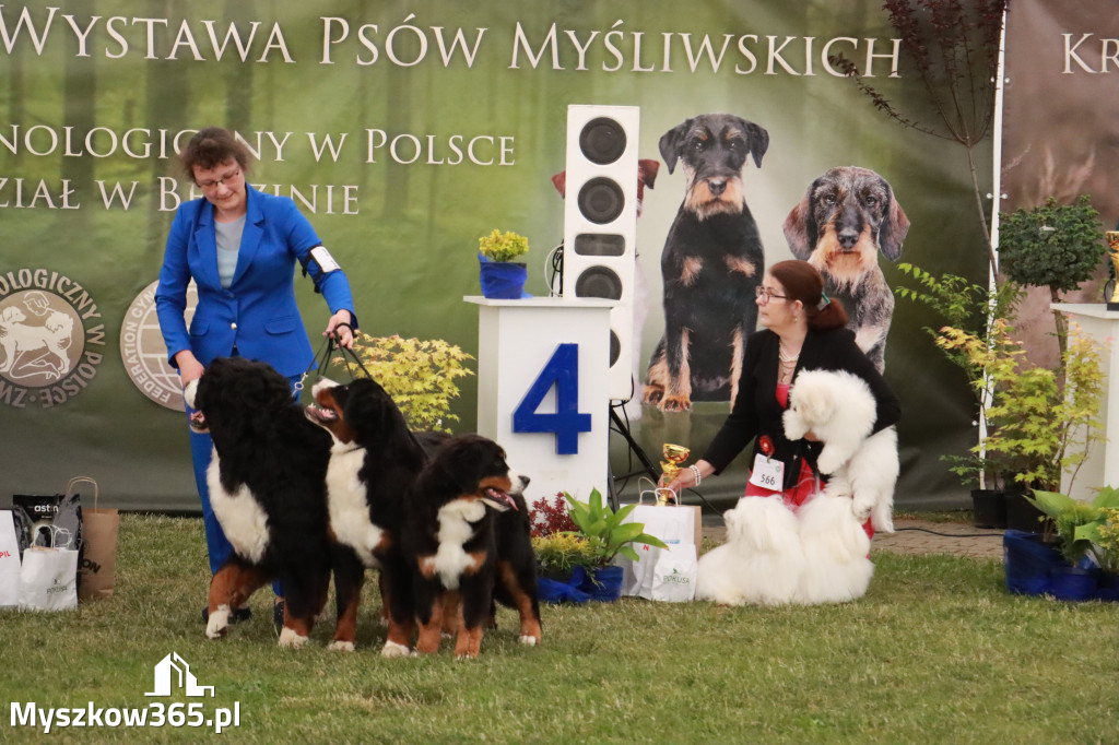 Fotorelacja - Wystawa Psów Rasowych GNIAZDÓW 2024r. NIEDZIELA I