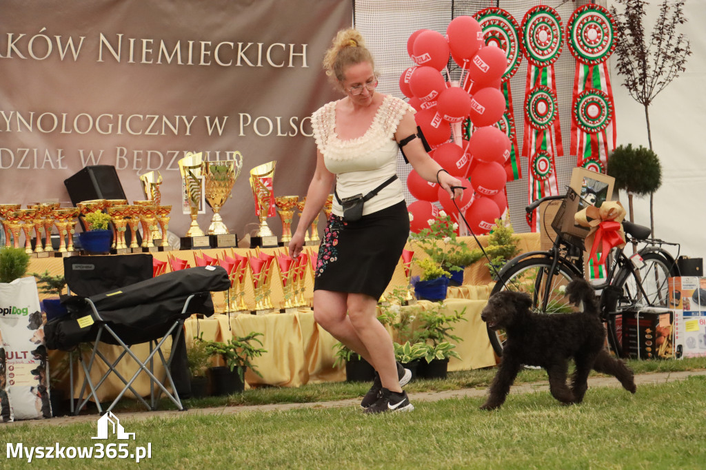 Fotorelacja - Wystawa Psów Rasowych GNIAZDÓW 2024r. NIEDZIELA I