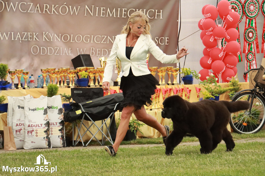 Fotorelacja - Wystawa Psów Rasowych GNIAZDÓW 2024r. NIEDZIELA I