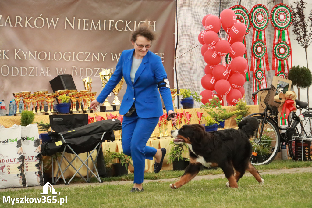 Fotorelacja - Wystawa Psów Rasowych GNIAZDÓW 2024r. NIEDZIELA I