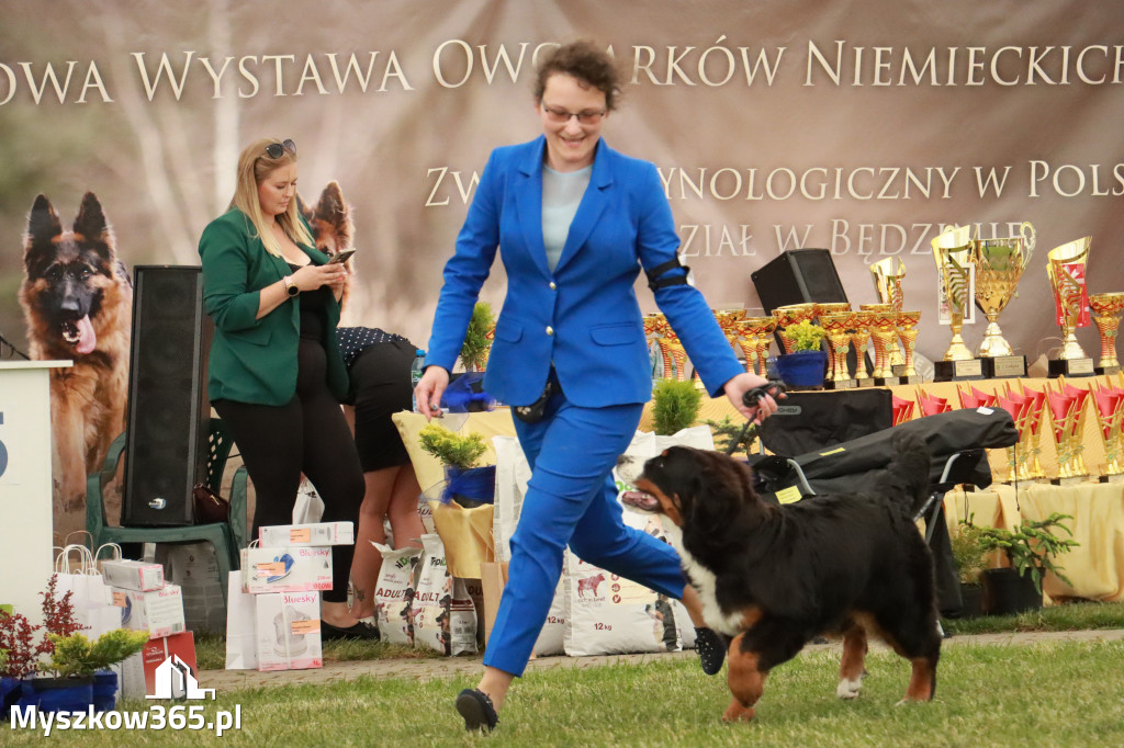 Fotorelacja - Wystawa Psów Rasowych GNIAZDÓW 2024r. NIEDZIELA I