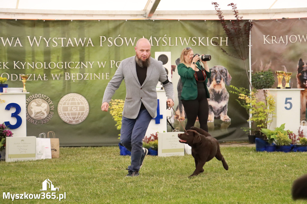 Fotorelacja - Wystawa Psów Rasowych GNIAZDÓW 2024r. NIEDZIELA I