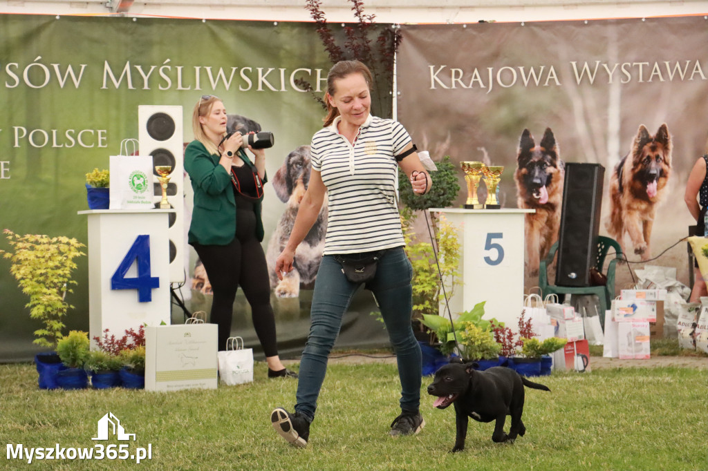 Fotorelacja - Wystawa Psów Rasowych GNIAZDÓW 2024r. NIEDZIELA I