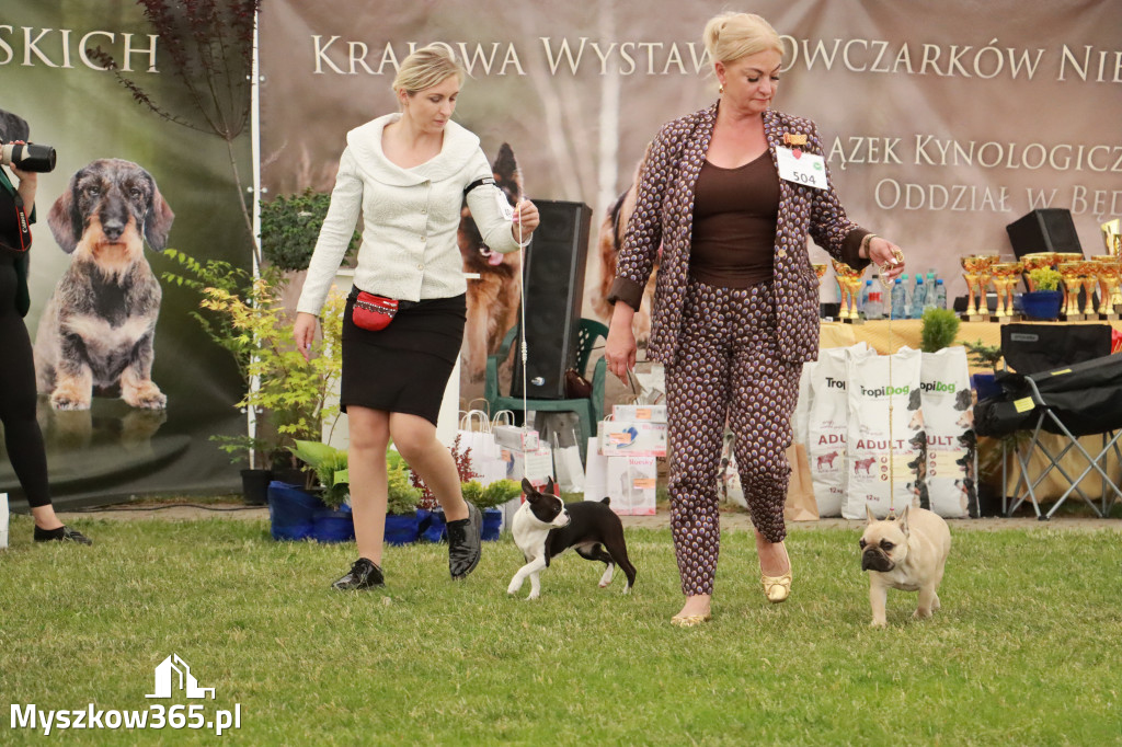 Fotorelacja - Wystawa Psów Rasowych GNIAZDÓW 2024r. NIEDZIELA I