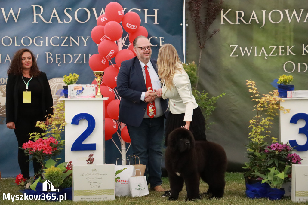 Fotorelacja - Wystawa Psów Rasowych GNIAZDÓW 2024r. NIEDZIELA I