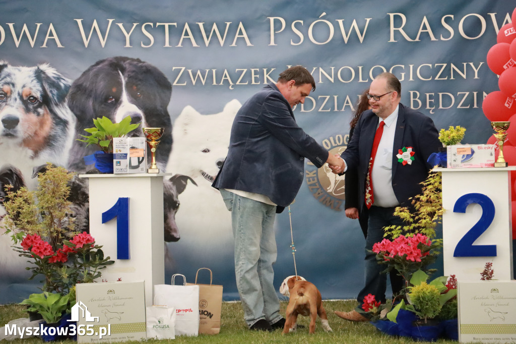 Fotorelacja - Wystawa Psów Rasowych GNIAZDÓW 2024r. NIEDZIELA I