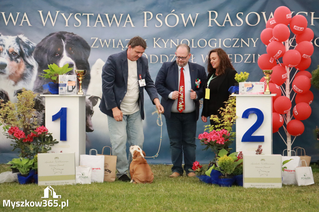 Fotorelacja - Wystawa Psów Rasowych GNIAZDÓW 2024r. NIEDZIELA I