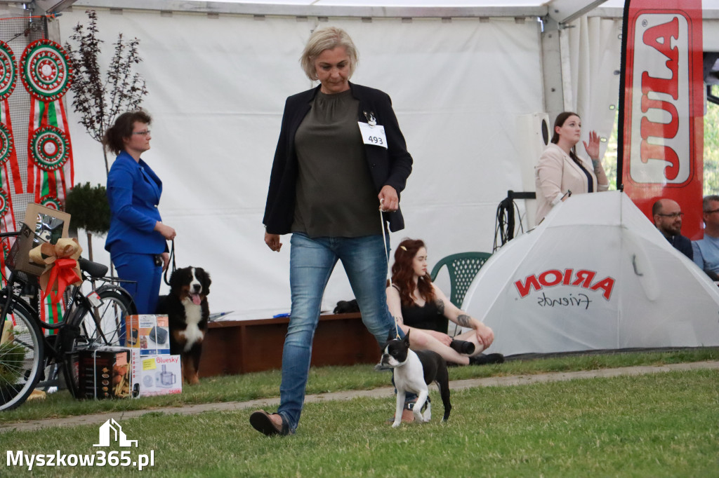 Fotorelacja - Wystawa Psów Rasowych GNIAZDÓW 2024r. NIEDZIELA I