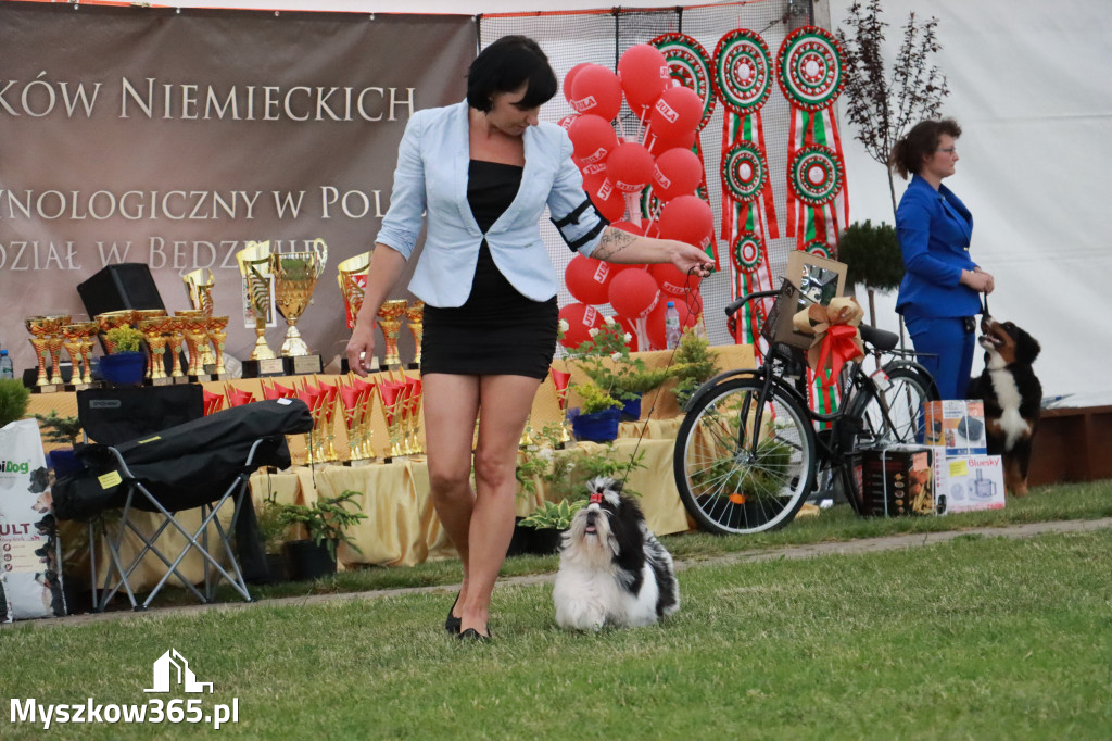 Fotorelacja - Wystawa Psów Rasowych GNIAZDÓW 2024r. NIEDZIELA II