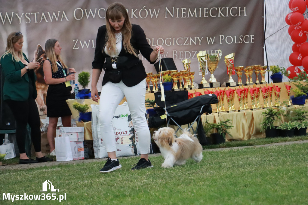 Fotorelacja - Wystawa Psów Rasowych GNIAZDÓW 2024r. NIEDZIELA II