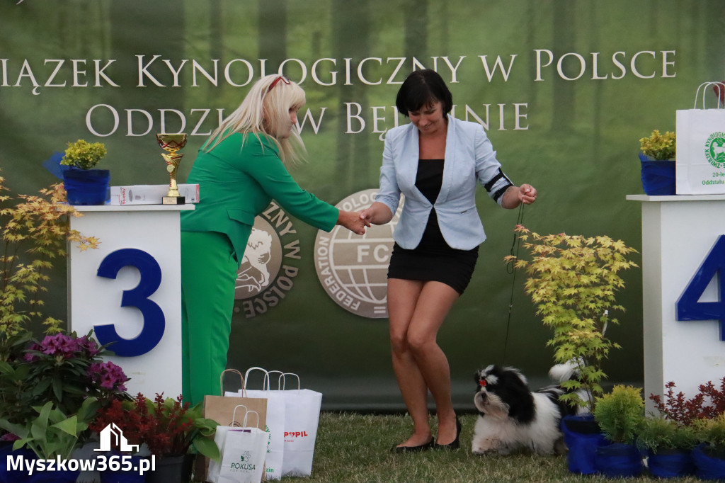 Fotorelacja - Wystawa Psów Rasowych GNIAZDÓW 2024r. NIEDZIELA II