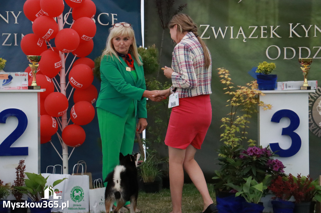 Fotorelacja - Wystawa Psów Rasowych GNIAZDÓW 2024r. NIEDZIELA II