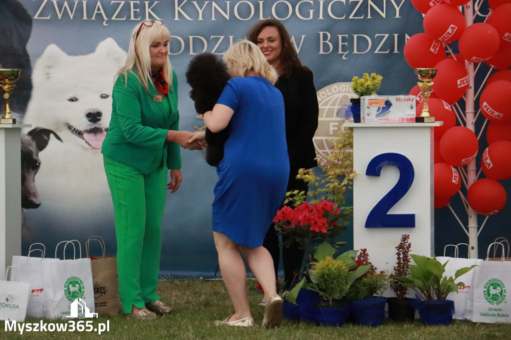 Fotorelacja - Wystawa Psów Rasowych GNIAZDÓW 2024r. NIEDZIELA II