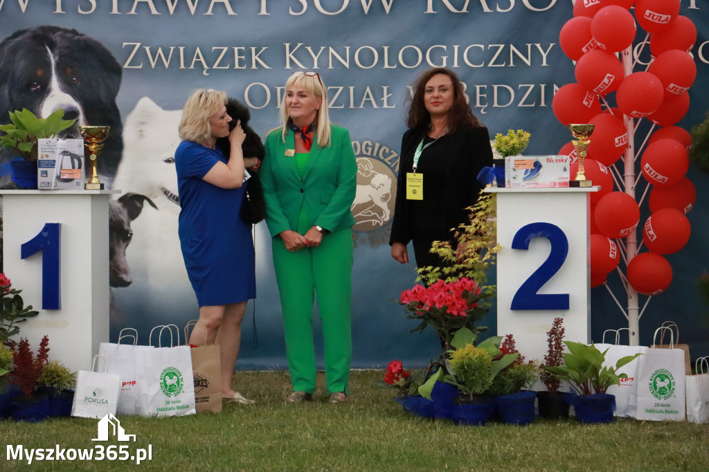 Fotorelacja - Wystawa Psów Rasowych GNIAZDÓW 2024r. NIEDZIELA II