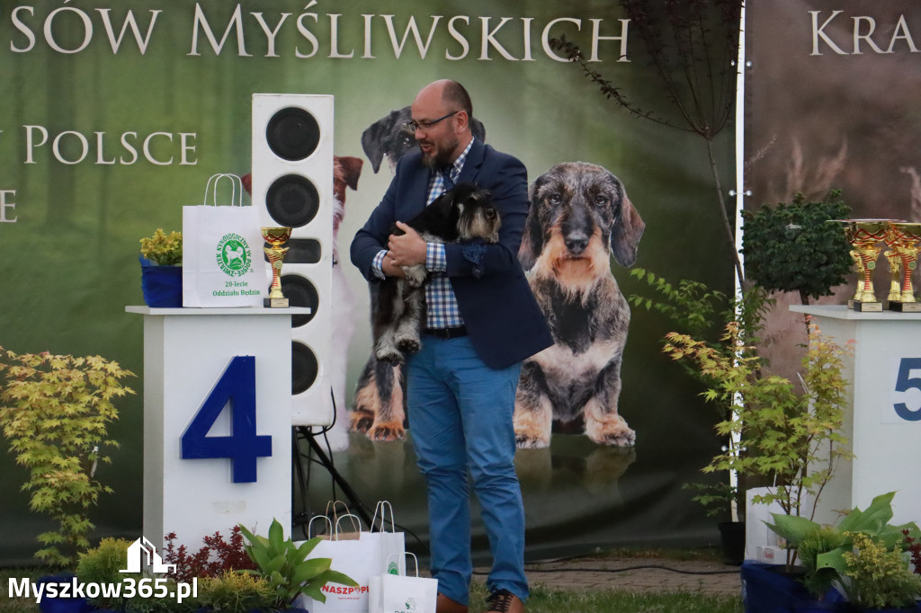 Fotorelacja - Wystawa Psów Rasowych GNIAZDÓW 2024r. NIEDZIELA II