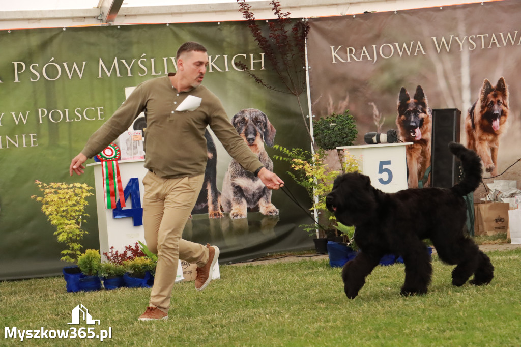 Fotorelacja - Wystawa Psów Rasowych GNIAZDÓW 2024r. NIEDZIELA II