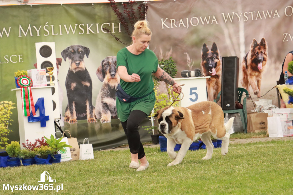 Fotorelacja - Wystawa Psów Rasowych GNIAZDÓW 2024r. NIEDZIELA II