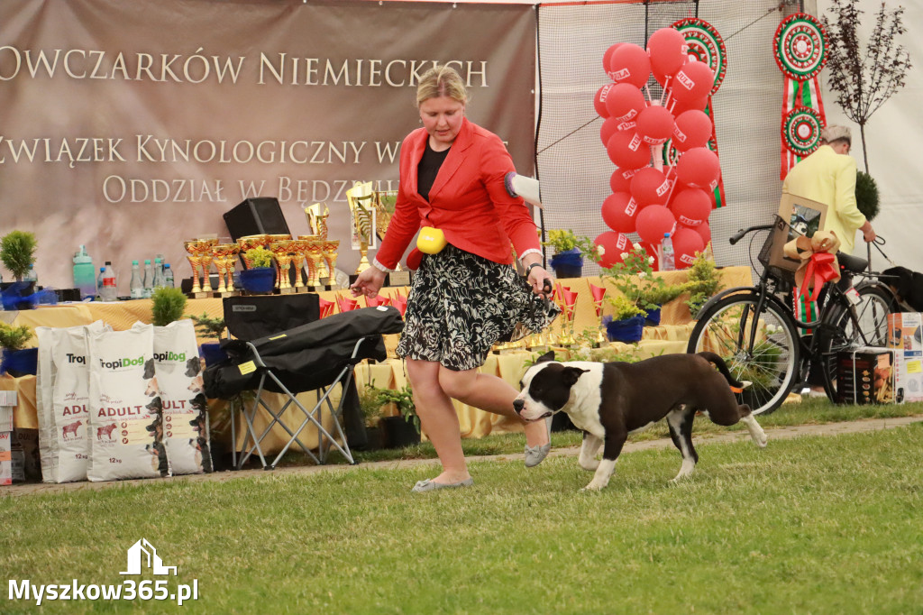 Fotorelacja - Wystawa Psów Rasowych GNIAZDÓW 2024r. NIEDZIELA II