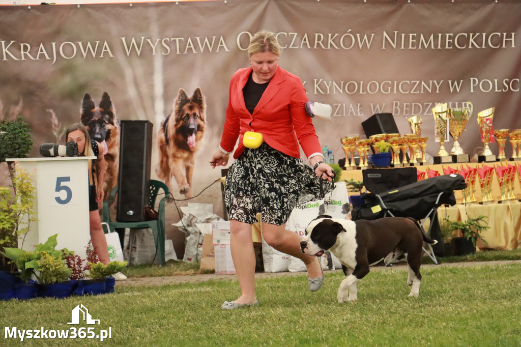Fotorelacja - Wystawa Psów Rasowych GNIAZDÓW 2024r. NIEDZIELA II