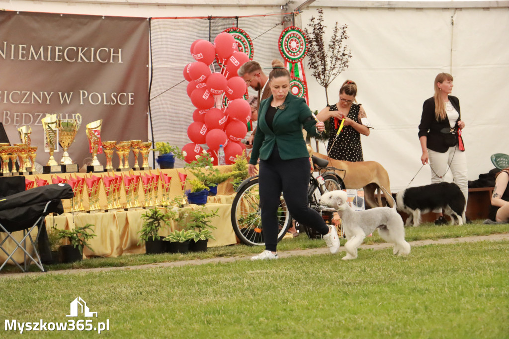 Fotorelacja - Wystawa Psów Rasowych GNIAZDÓW 2024r. NIEDZIELA II