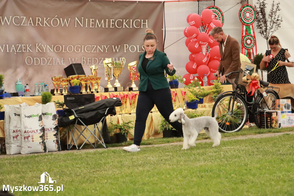 Fotorelacja - Wystawa Psów Rasowych GNIAZDÓW 2024r. NIEDZIELA II