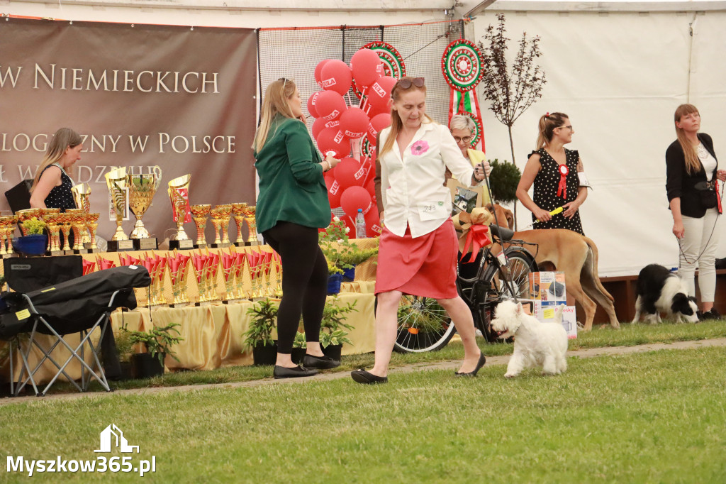 Fotorelacja - Wystawa Psów Rasowych GNIAZDÓW 2024r. NIEDZIELA II