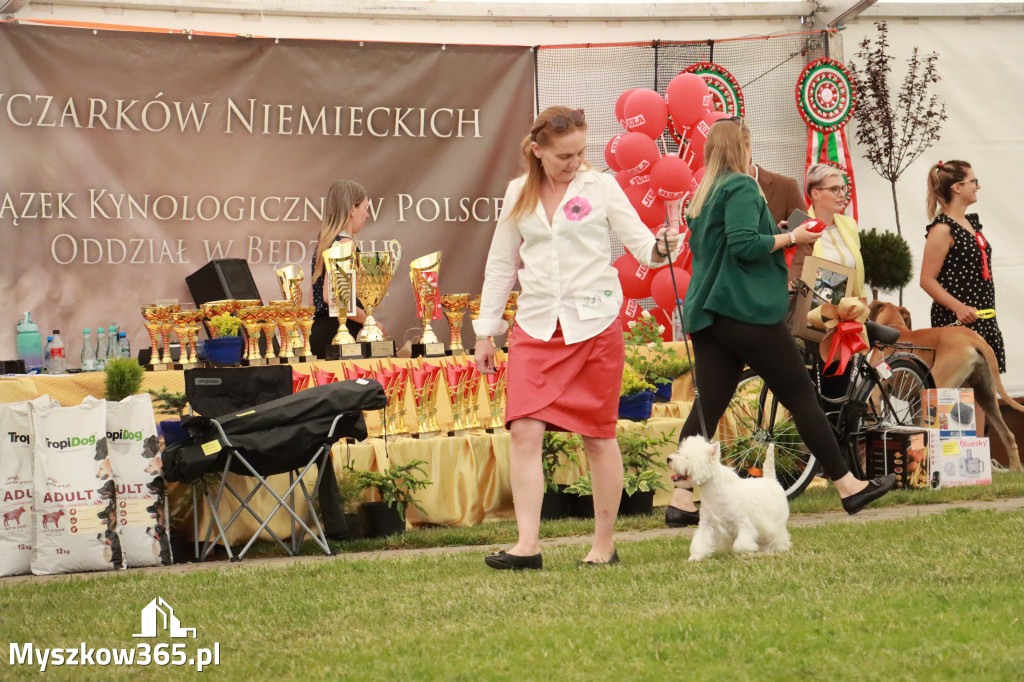 Fotorelacja - Wystawa Psów Rasowych GNIAZDÓW 2024r. NIEDZIELA II