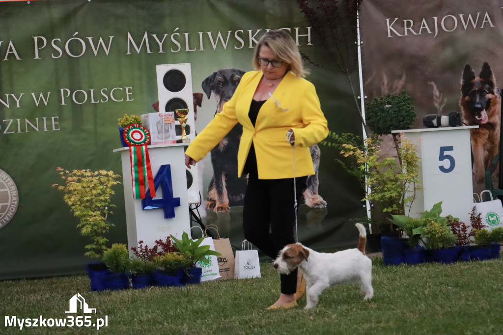 Fotorelacja - Wystawa Psów Rasowych GNIAZDÓW 2024r. NIEDZIELA II