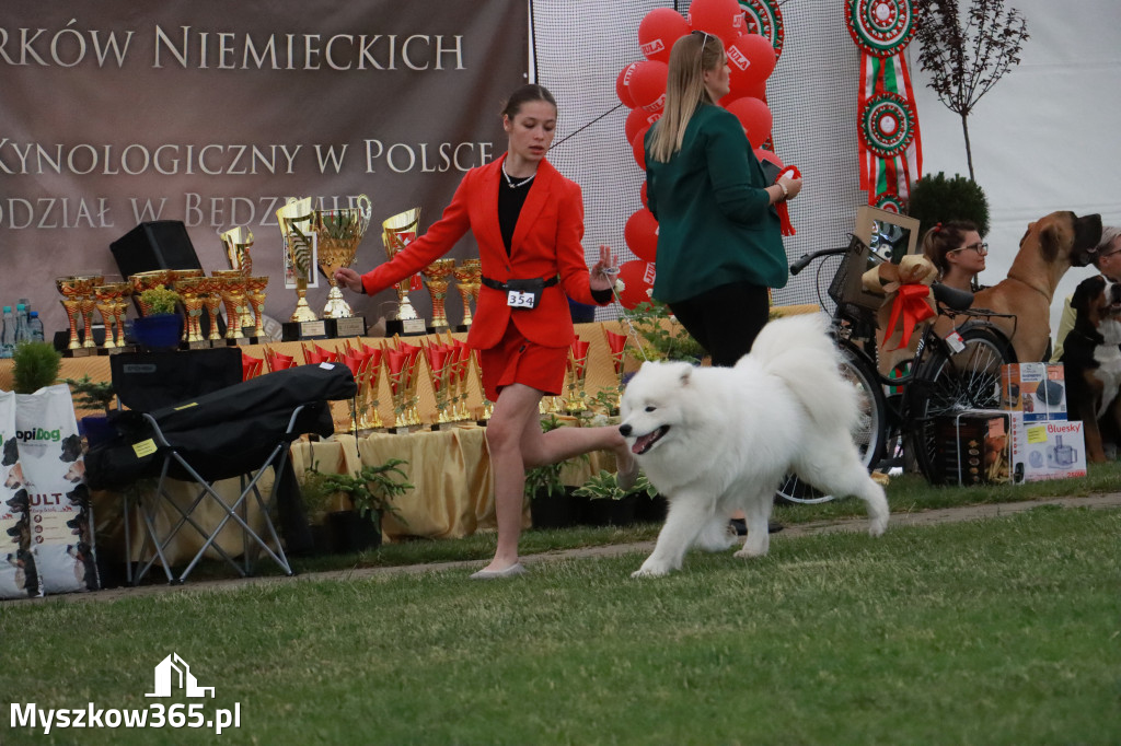 Fotorelacja - Wystawa Psów Rasowych GNIAZDÓW 2024r. NIEDZIELA II