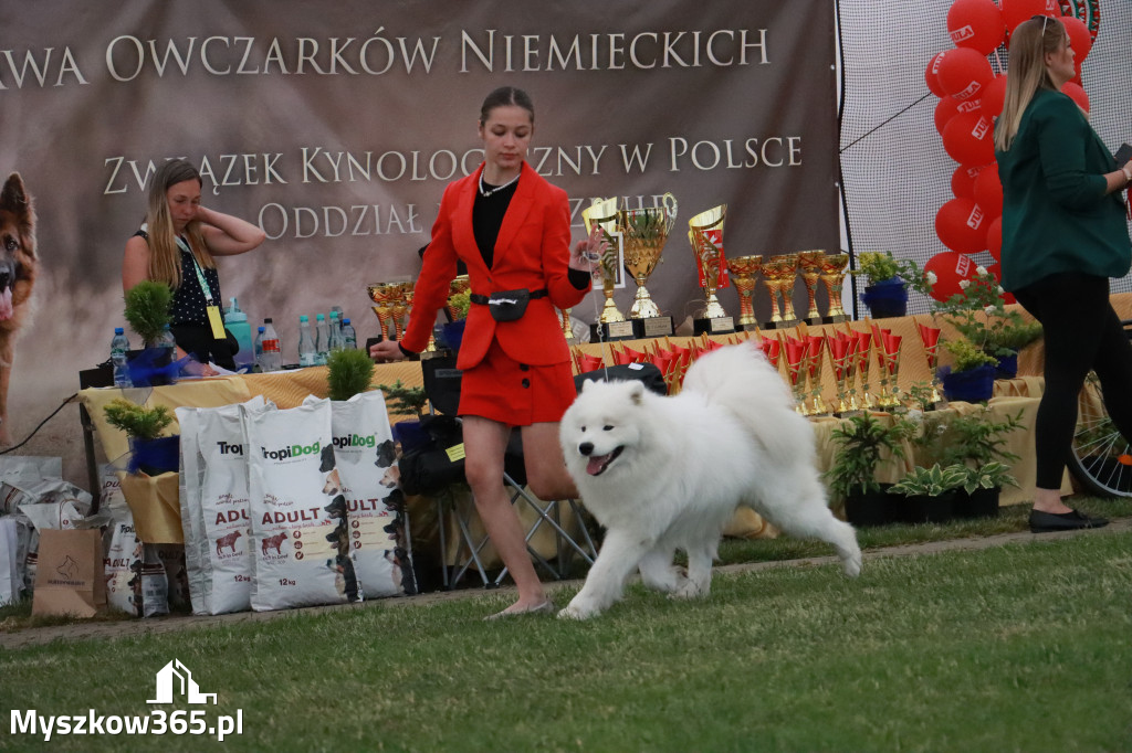 Fotorelacja - Wystawa Psów Rasowych GNIAZDÓW 2024r. NIEDZIELA II