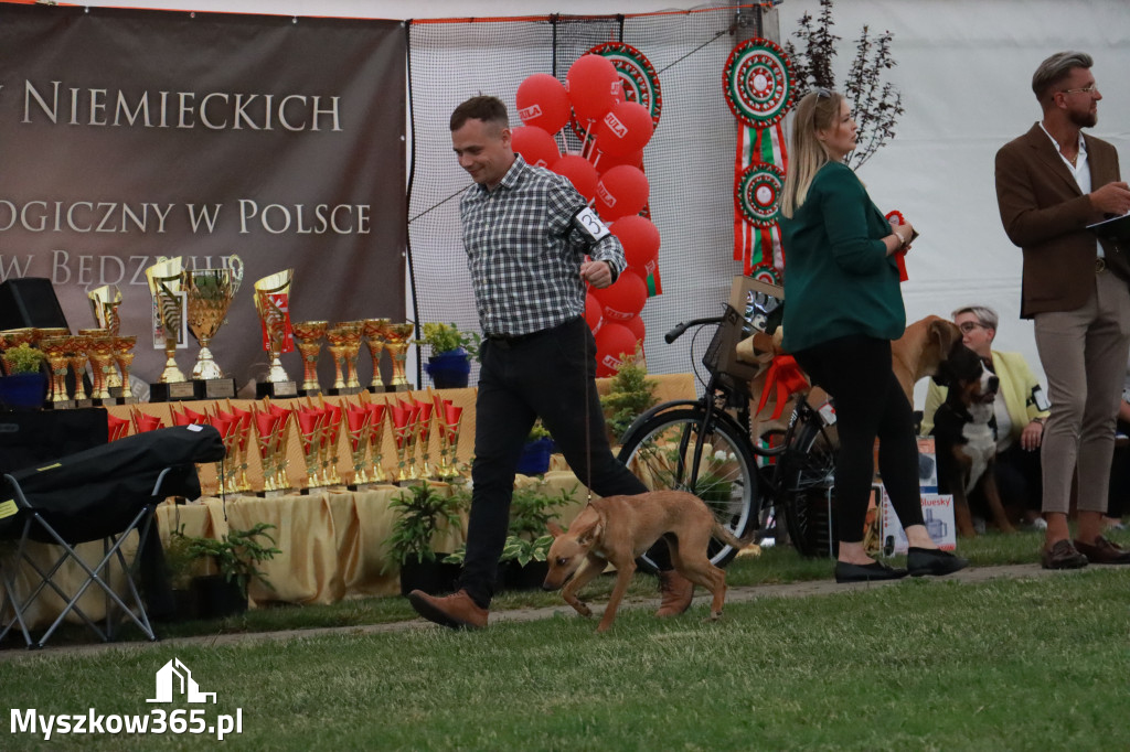 Fotorelacja - Wystawa Psów Rasowych GNIAZDÓW 2024r. NIEDZIELA II